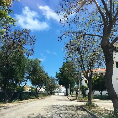 T1 De Altura